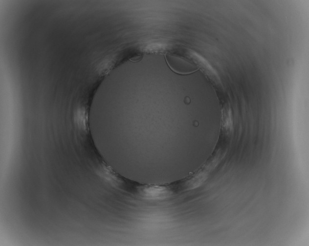 X0000112030669200908171452
