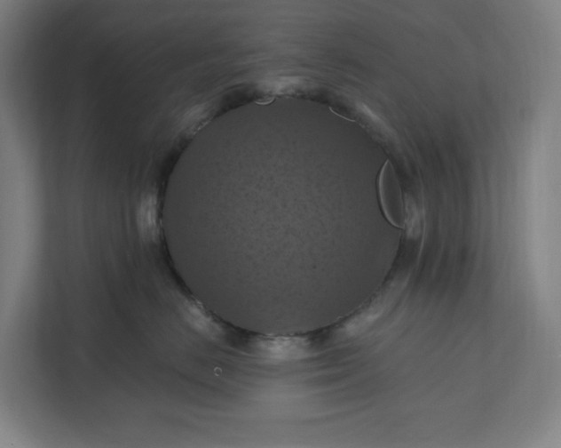 X0000112030670200908171452