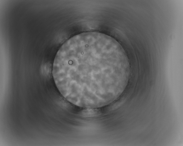 X0000112030672200908171452