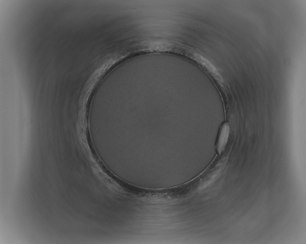 X0000112030673200908171451