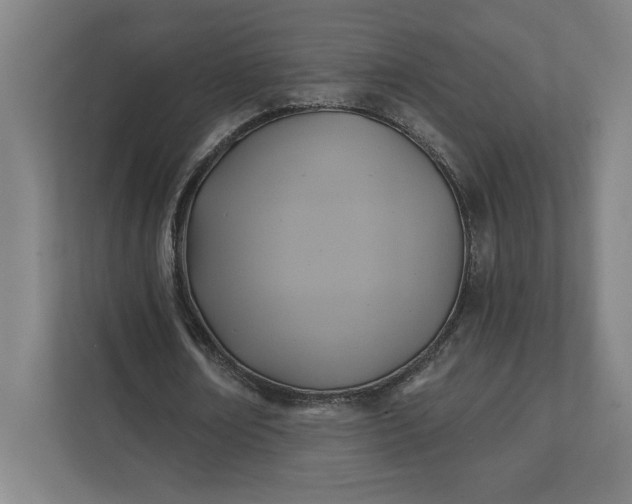 X0000112030674200908171451