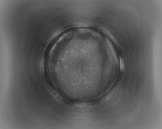 X0000112030675200908171451
