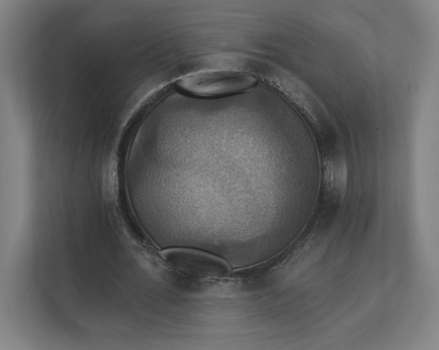 X0000112030676200908171451