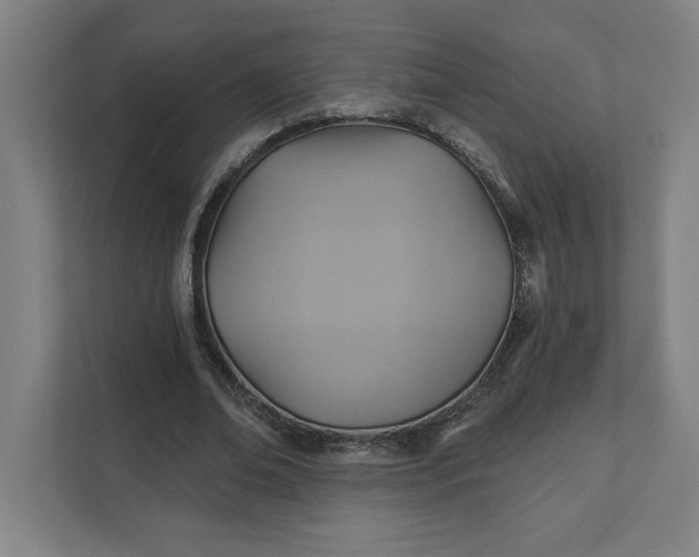 X0000112030678200908171451
