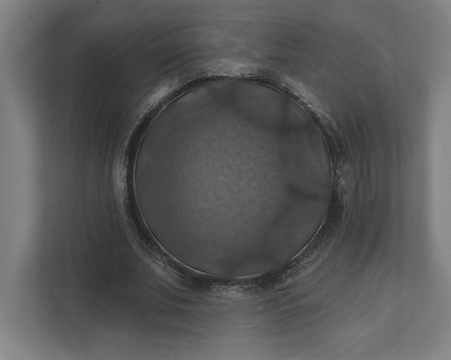 X0000112030679200908171451