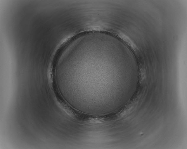 X0000112030680200908171451