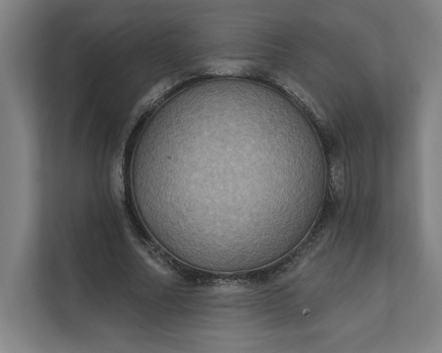 X0000112030682200908171451