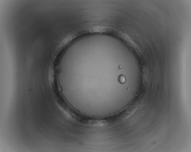 X0000112030683200908171451