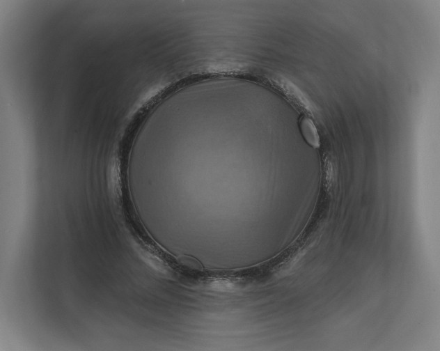 X0000112030684200908171451