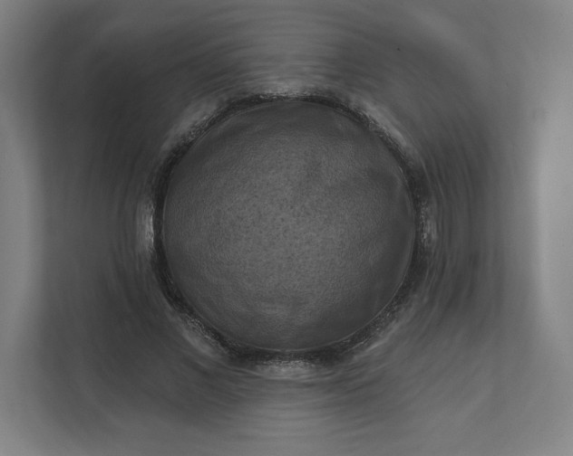 X0000112030685200908171451