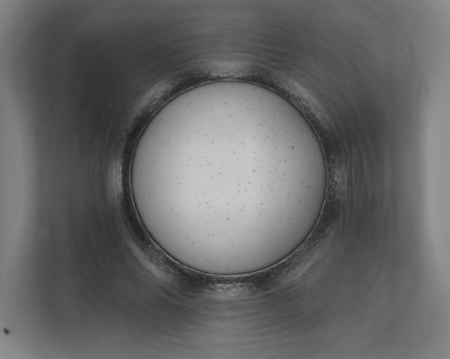 X0000112030686200908171451