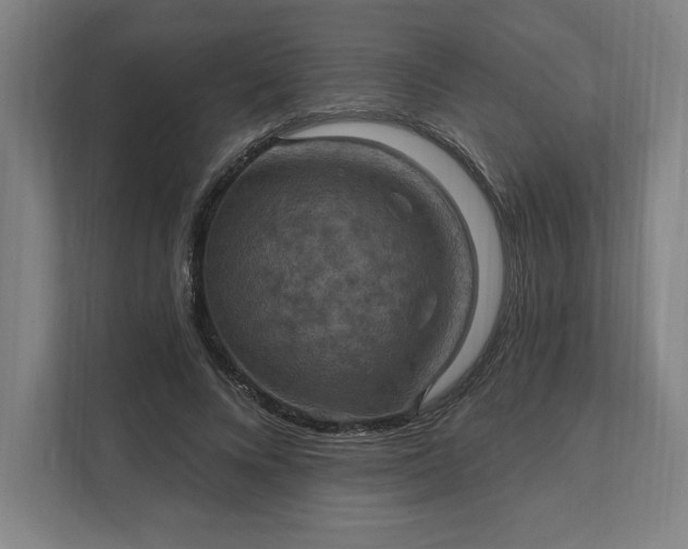 X0000112030688200908171451