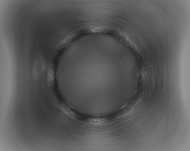 X0000112030691200908171451