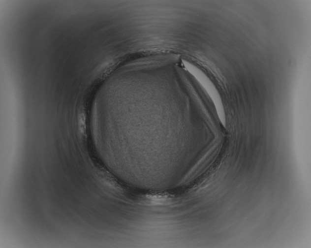 X0000112030693200908171451