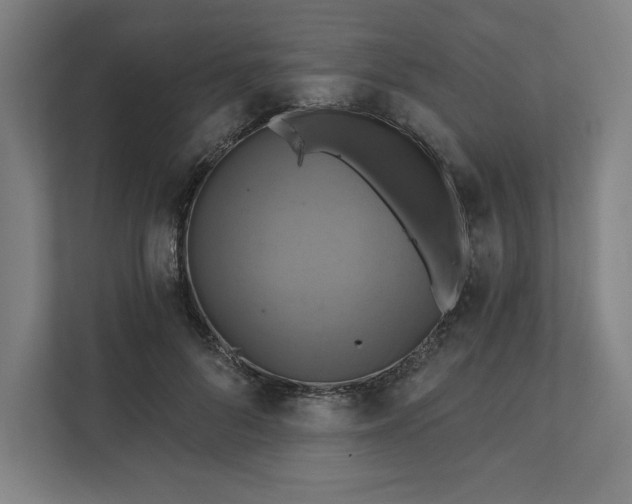 X0000112030696200908171451