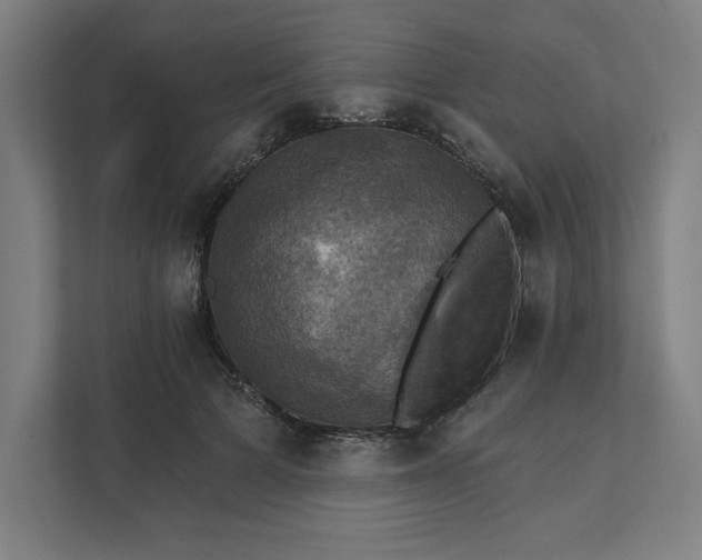 X0000112030697200908171451