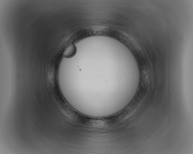X0000112030698200908171451
