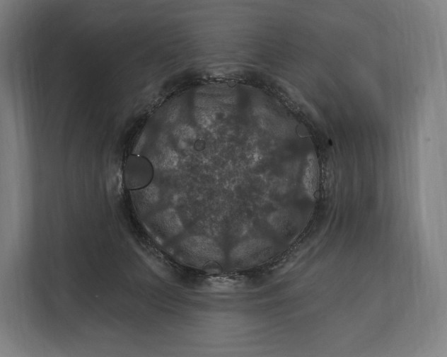 X0000112030703200908171451