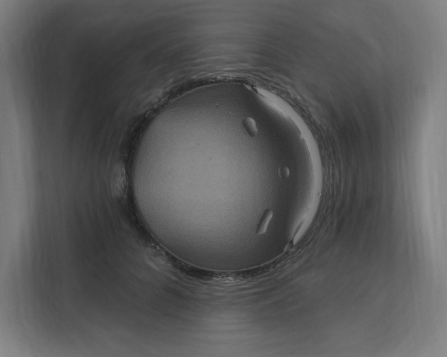 X0000112030704200908171451