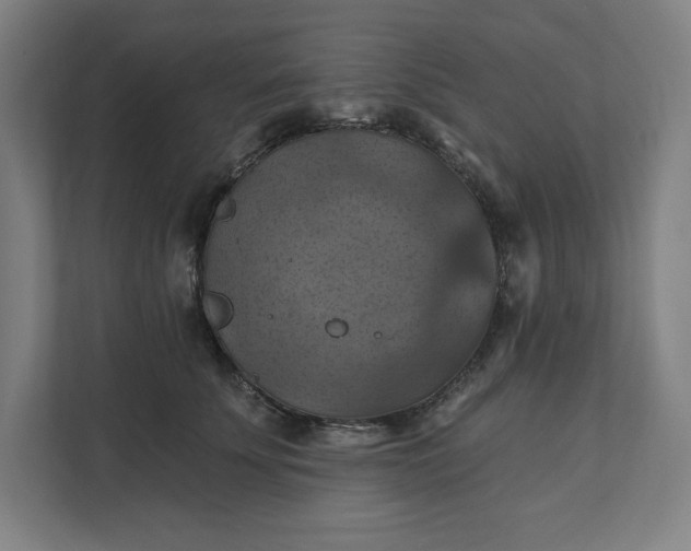 X0000112030707200908171451