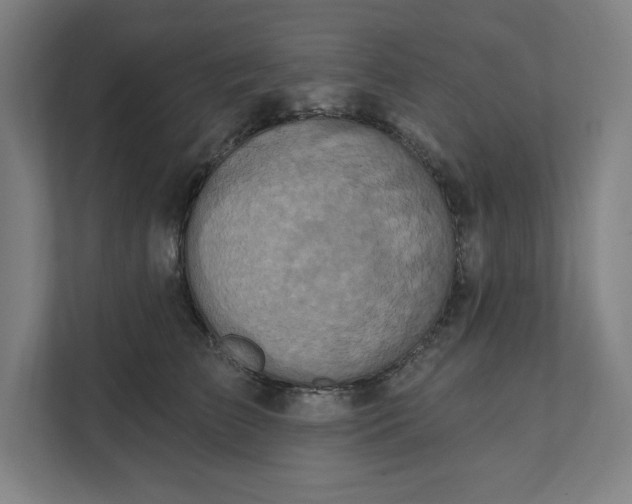 X0000112030709200908171451