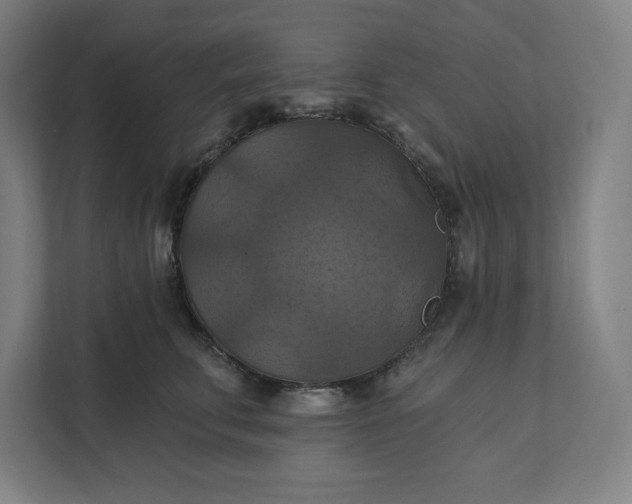 X0000112030711200908171451