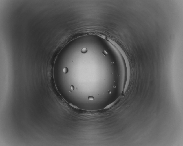 X0000112030712200908171451
