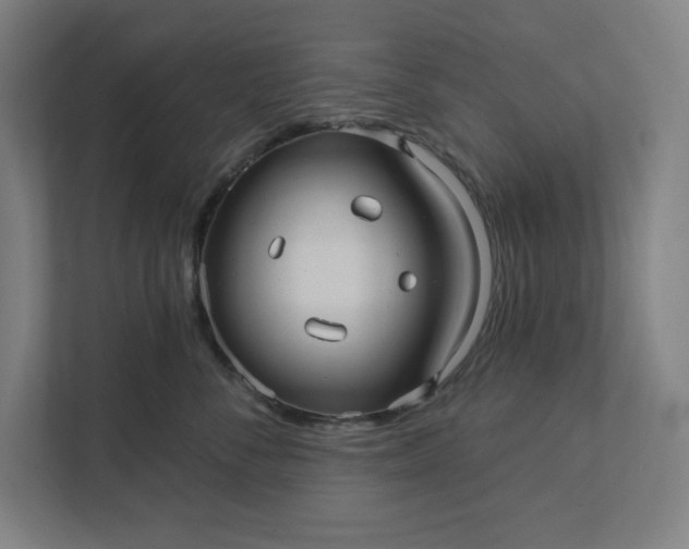 X0000112030716200908171451