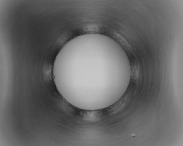 X0000112030717200908171451