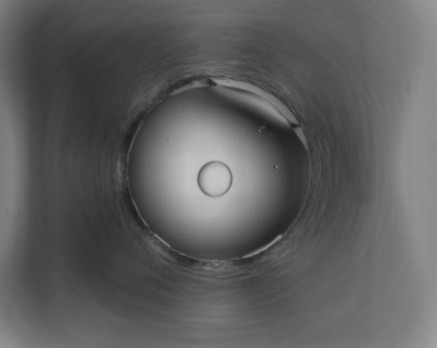 X0000112030720200908171451