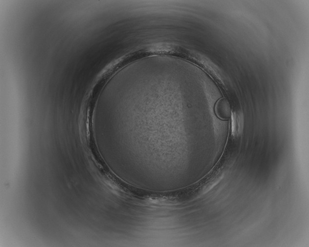 X0000112030723200908171450