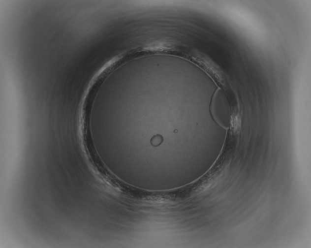 X0000112030724200908171450