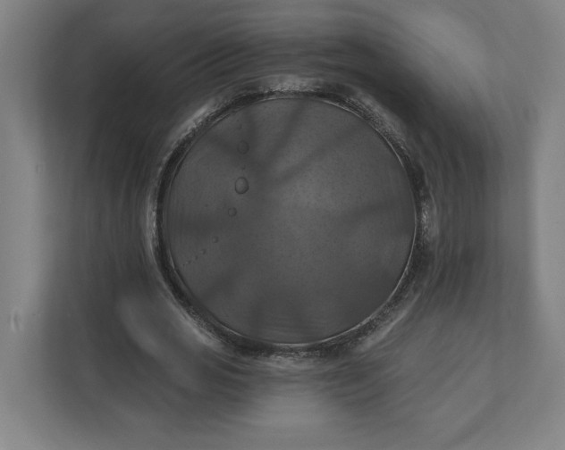 X0000112030725200908171450