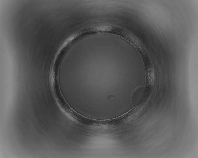 X0000112030726200908171450