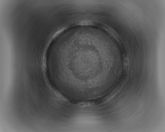 X0000112030727200908171450