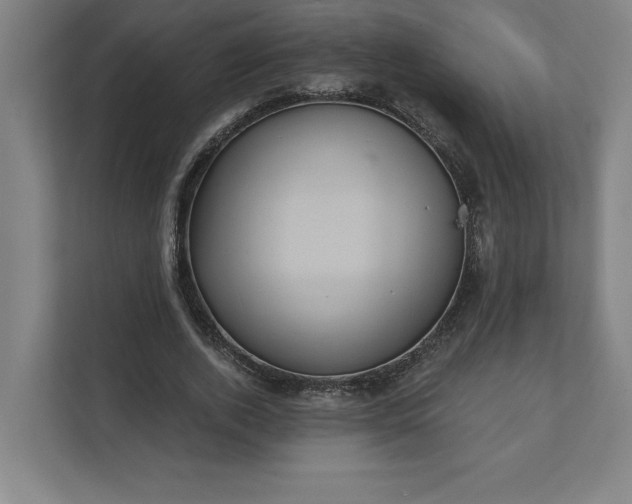 X0000112030728200908171450