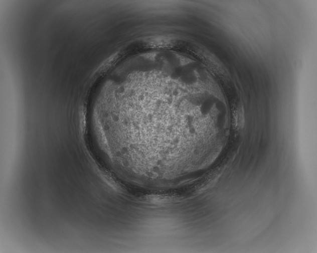 X0000112030733200908171450
