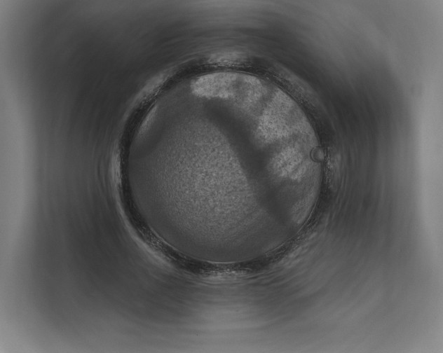 X0000112030734200908171450