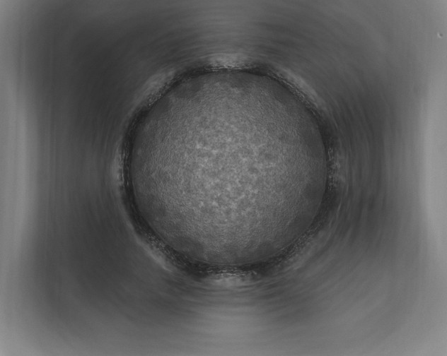 X0000112030738200908171450