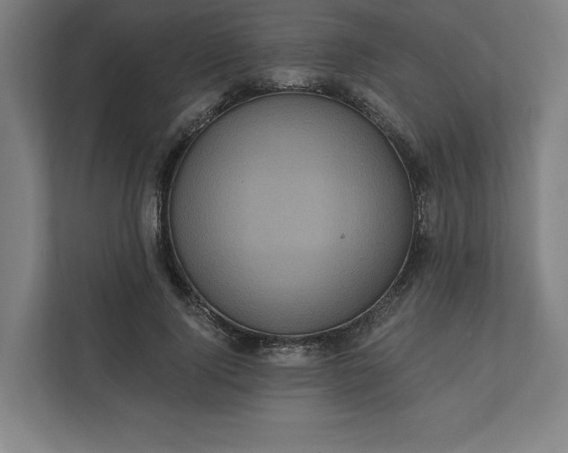 X0000112030740200908171450
