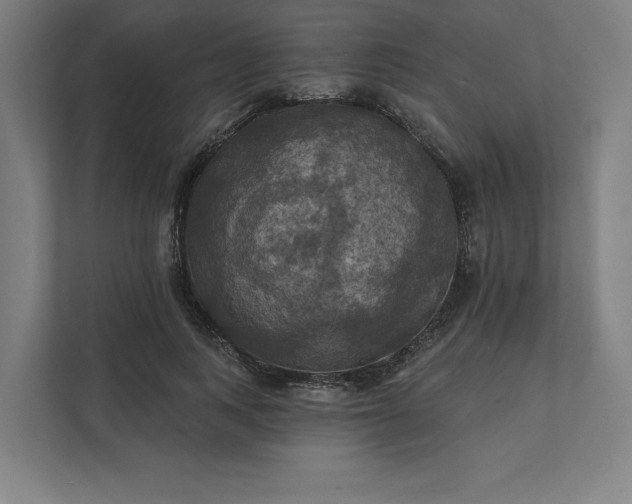 X0000112030743200908171450