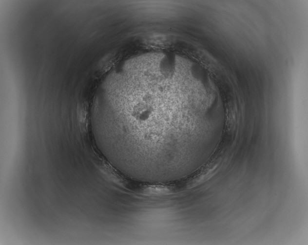 X0000112030749200908171450