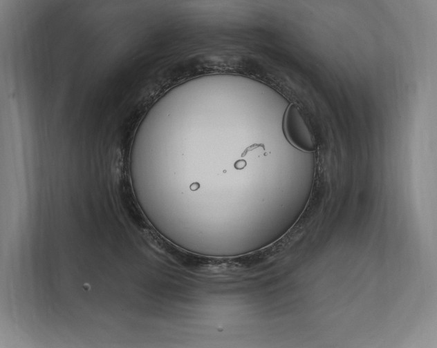 X0000112030752200908171451