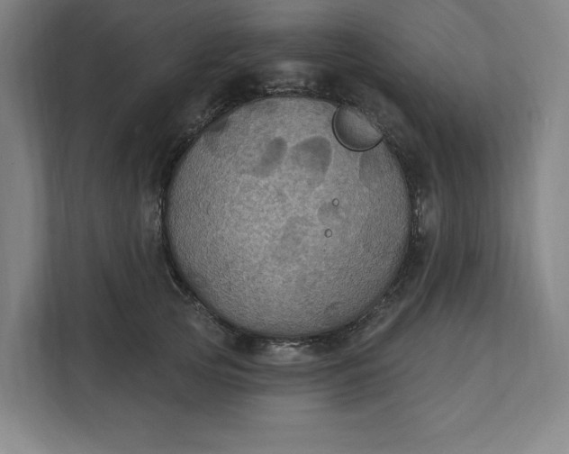 X0000112030753200908171451