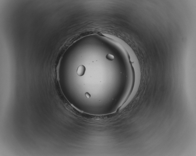 X0000112030756200908171451
