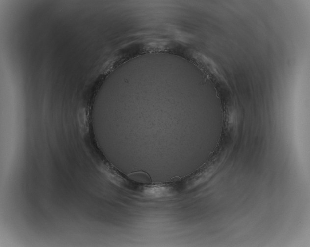 X0000112030759200908171451