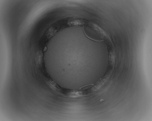 X0000112030760200908171451