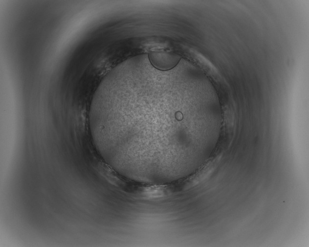 X0000112030761200908171451