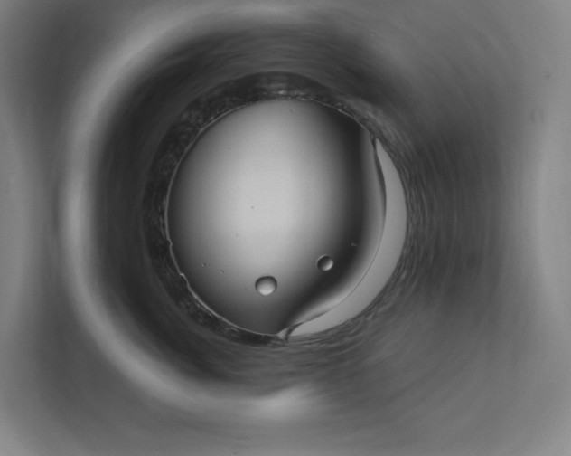 X0000112030764200908171451