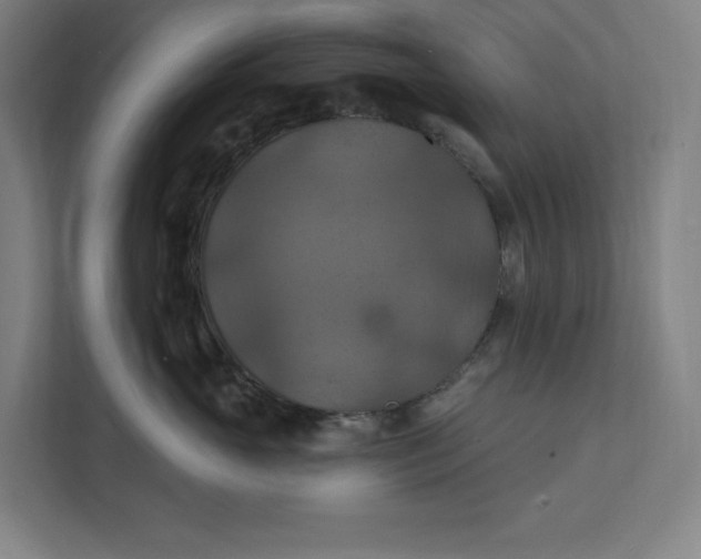 X0000112030765200908171451